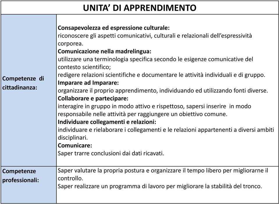 Comunicazione nella madrelingua: utilizzare una terminologia specifica secondo le esigenze comunicative del contesto scientifico; redigere relazioni scientifiche e documentare le attività individuali