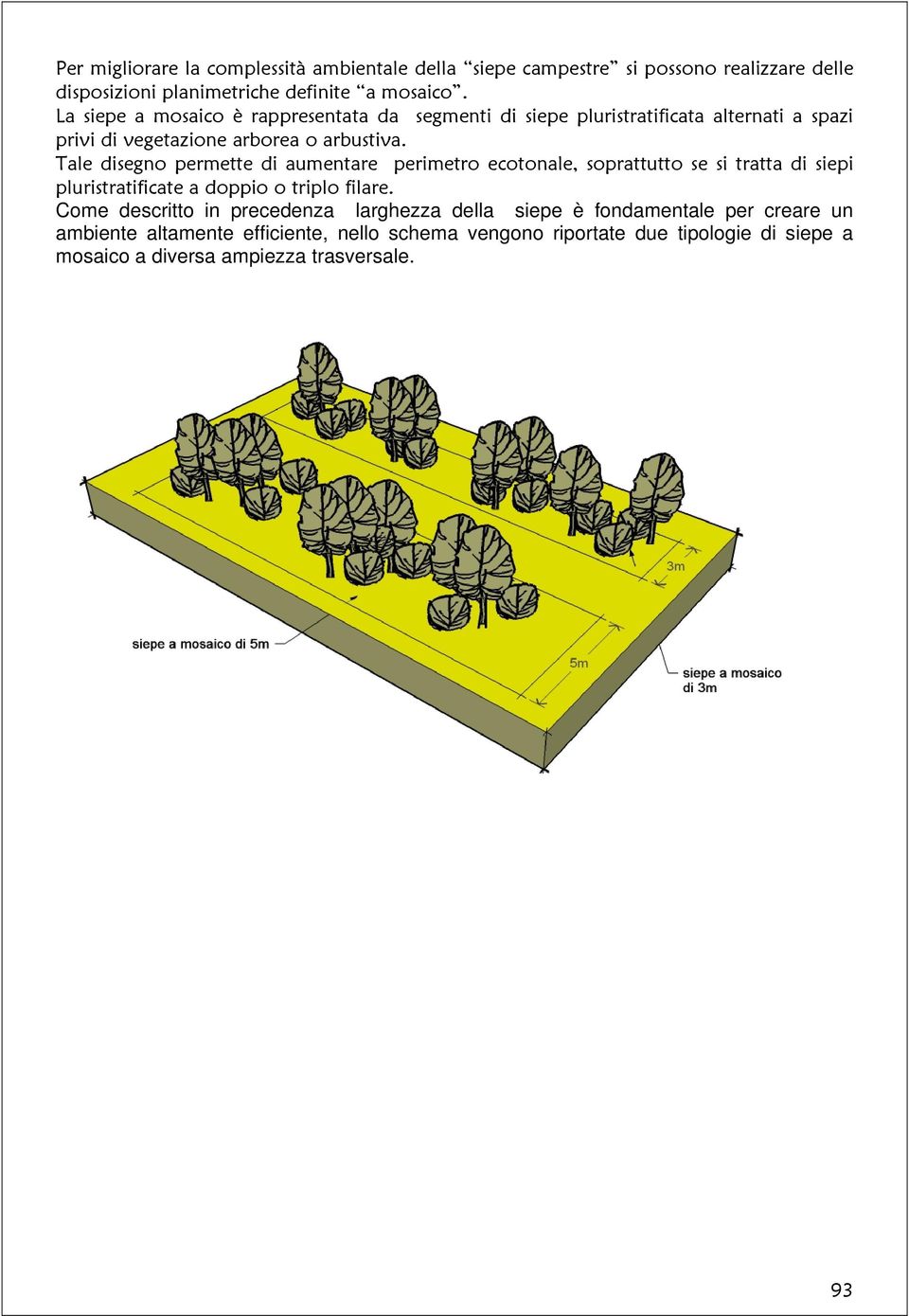 Tale disegno permette di aumentare perimetro ecotonale, soprattutto se si tratta di siepi pluristratificate a doppio o triplo filare.