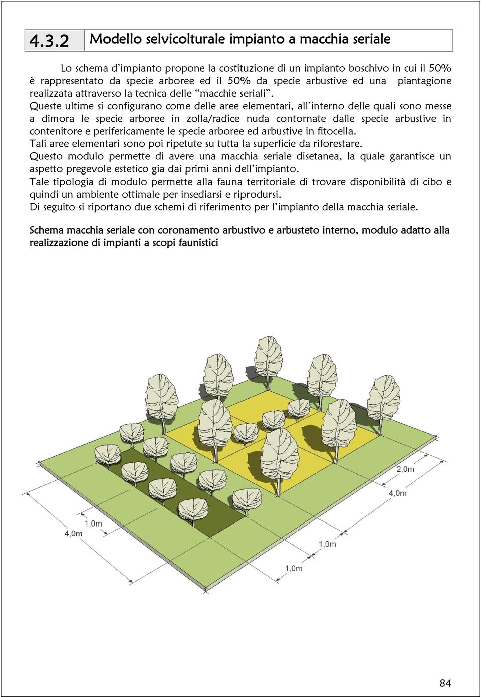 Queste ultime si configurano come delle aree elementari, all interno delle quali sono messe a dimora le specie arboree in zolla/radice nuda contornate dalle specie arbustive in contenitore e