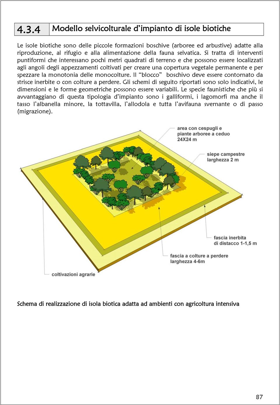 Si tratta di interventi puntiformi che interessano pochi metri quadrati di terreno e che possono essere localizzati agli angoli degli appezzamenti coltivati per creare una copertura vegetale