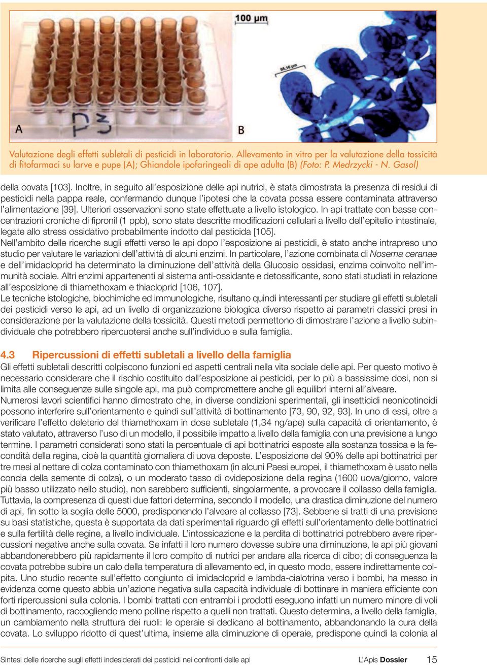 Inoltre, in seguito all esposizione delle api nutrici, è stata dimostrata la presenza di residui di pesticidi nella pappa reale, confermando dunque l ipotesi che la covata possa essere contaminata