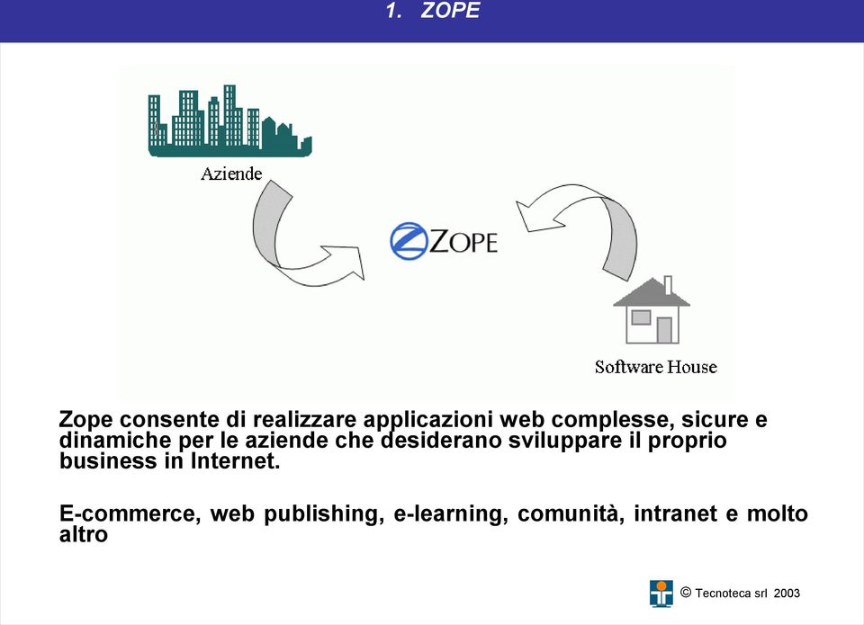 desiderano sviluppare il proprio business in Internet.