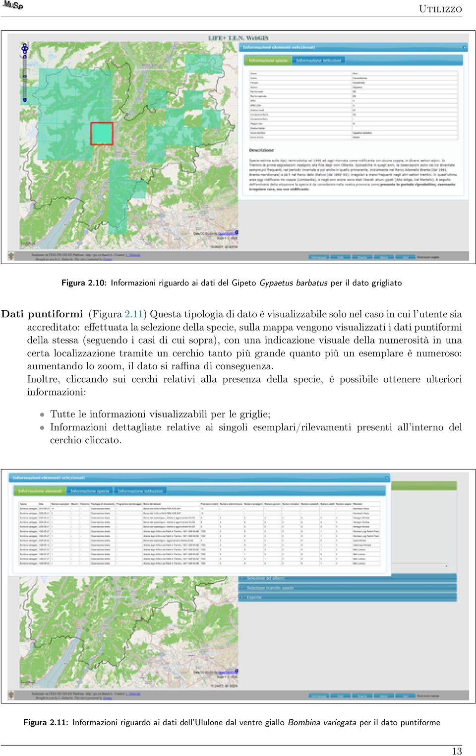 (seguendo i casi di cui sopra), con una indicazione visuale della numerosità in una certa localizzazione tramite un cerchio tanto più grande quanto più un esemplare è numeroso: aumentando lo zoom, il
