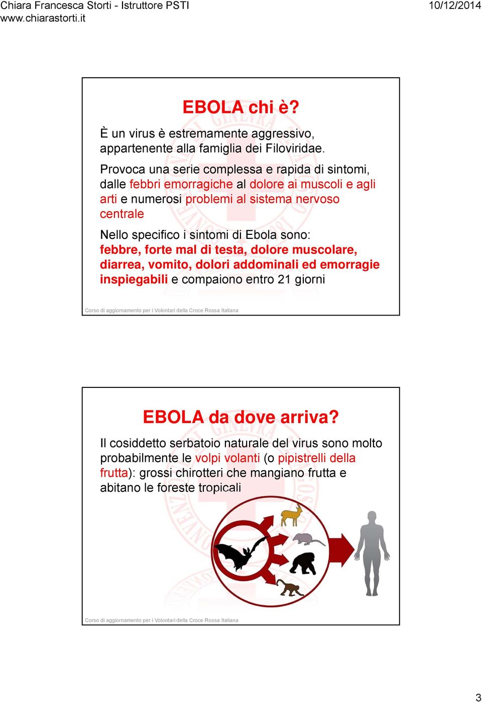 Nello specifico i sintomi di Ebola sono: febbre, forte mal di testa, dolore muscolare, diarrea, vomito, dolori addominali ed emorragie inspiegabili e