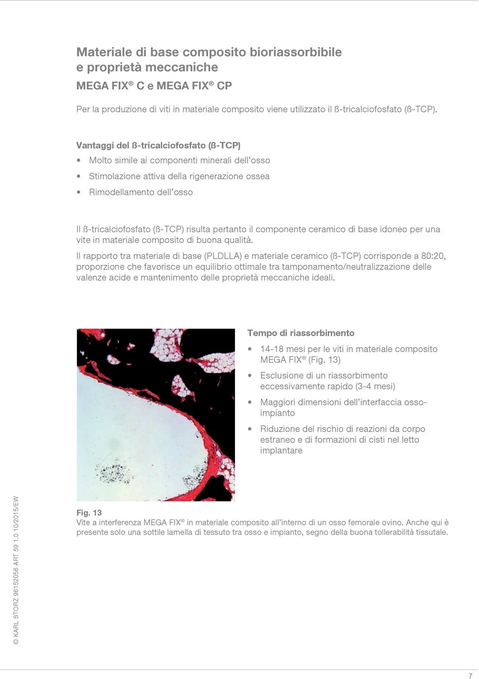 pertanto il componente ceramico di base idoneo per una vite in materiale composito di buona qualità.