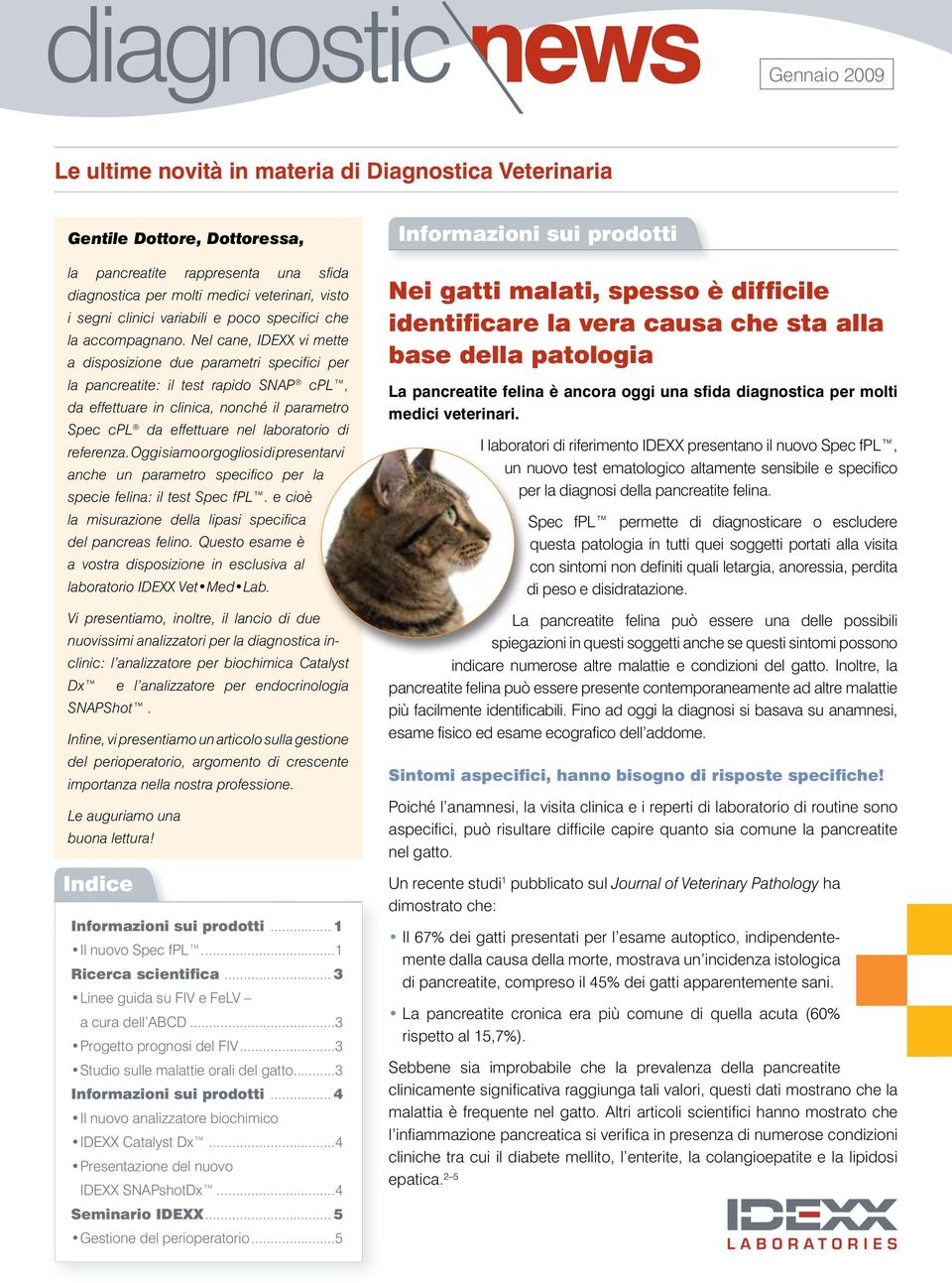 Nel cane, IDEXX vi mette a disposizione due parametri specifici per la pancreatite: il test rapido SNAP cpl, da effettuare in clinica, nonché il parametro Spec cpl da effettuare nel laboratorio di