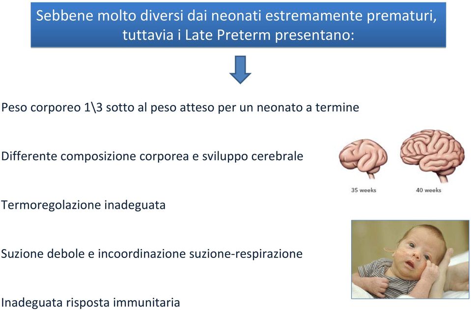 Differente composizione corporea e sviluppo cerebrale Termoregolazione inadeguata