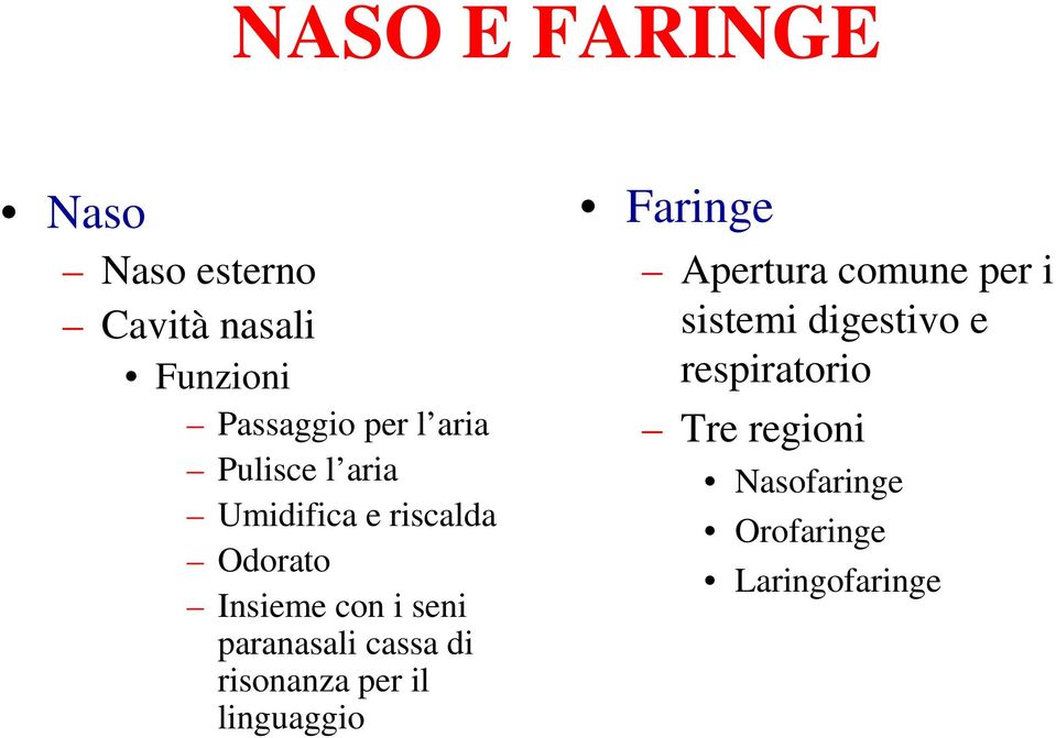 paranasali cassa di risonanza per il linguaggio Faringe Apertura comune