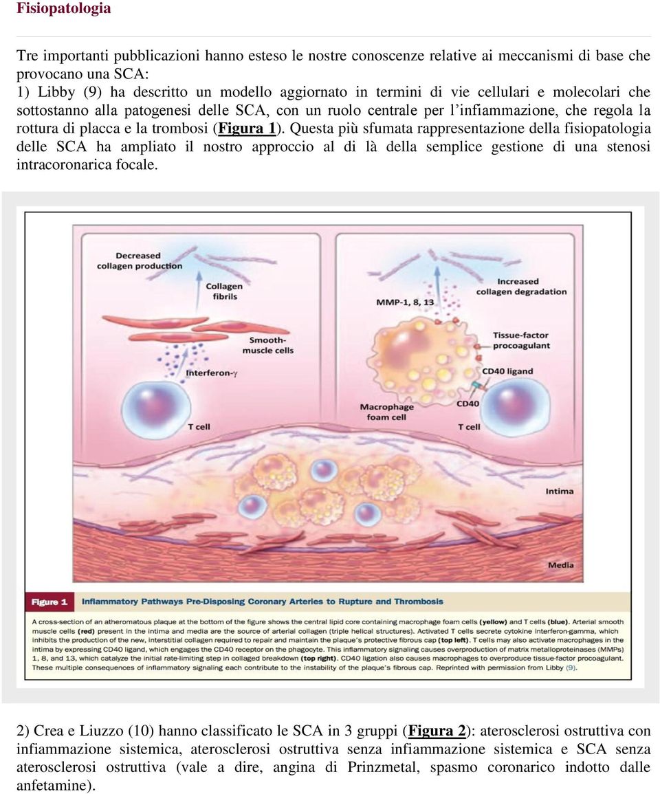 Questa più sfumata rappresentazione della fisiopatologia delle SCA ha ampliato il nostro approccio al di là della semplice gestione di una stenosi intracoronarica focale.