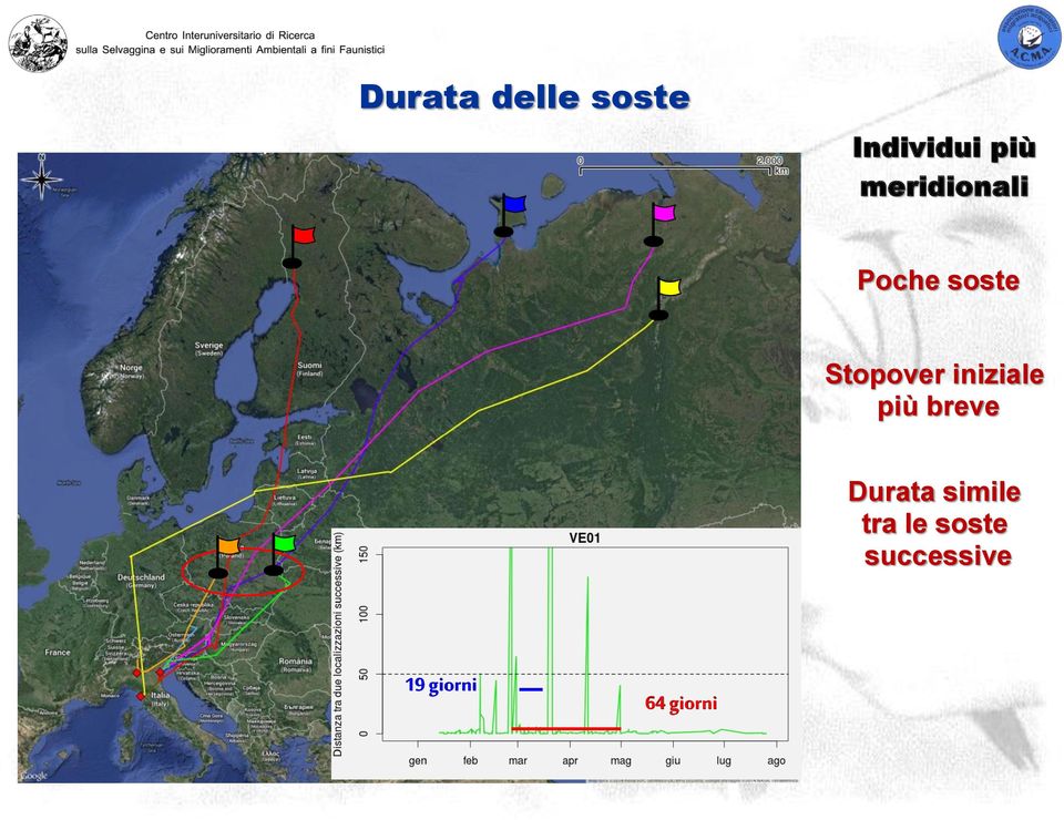 iniziale più breve Durata simile