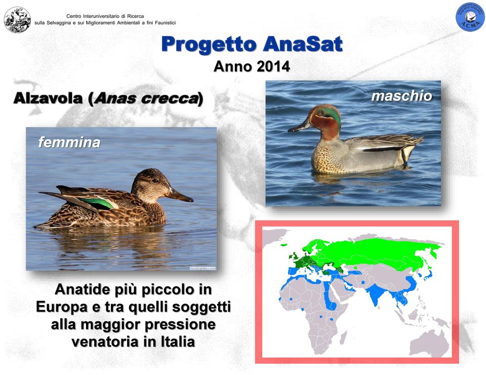 più piccolo in Europa e tra quelli