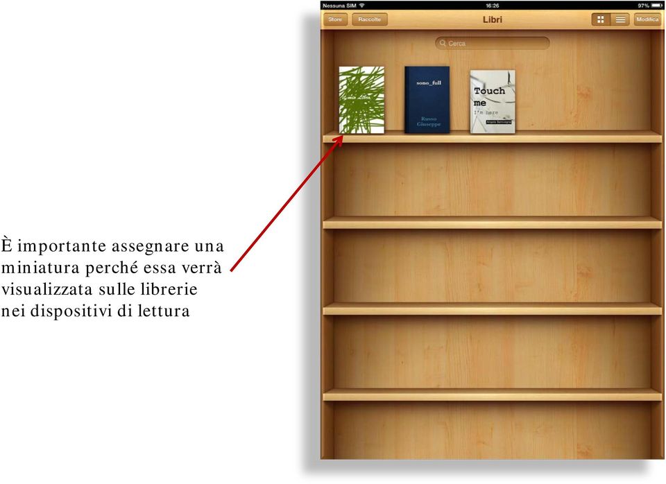 visualizzata sulle librerie