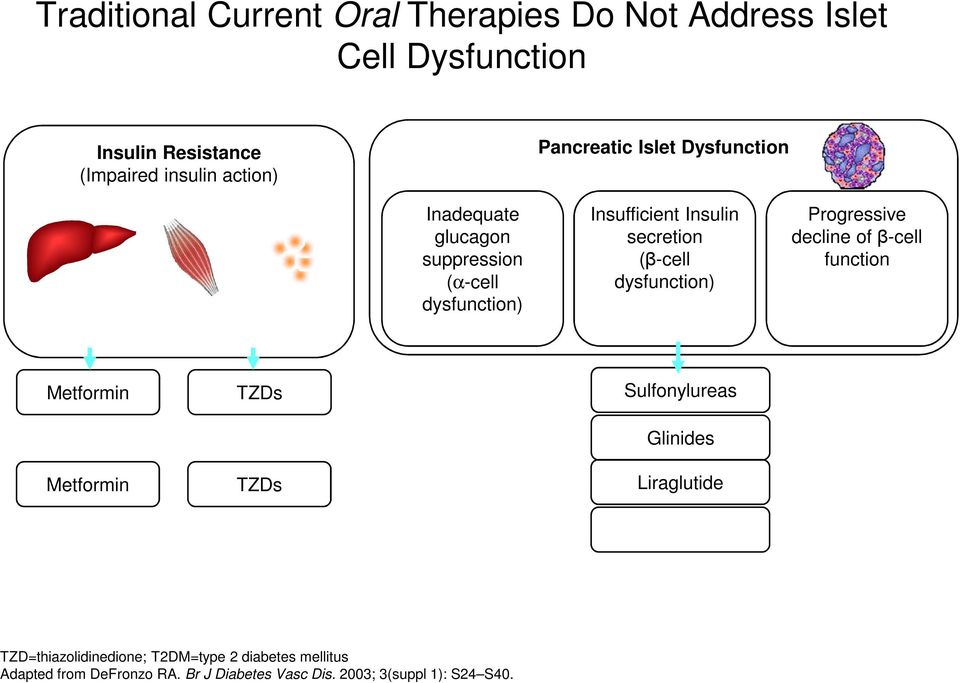 dysfunction) Progressive decline of β-cell function Metformin Metformin TZDs TZDs Sulfonylureas Glinides Liraglutide