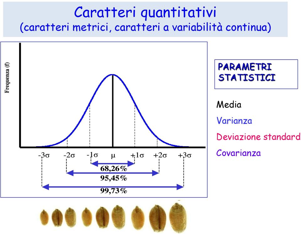 PARAMETRI STATISTICI -3σ -2σ -1σ µ +1σ +2σ +3σ