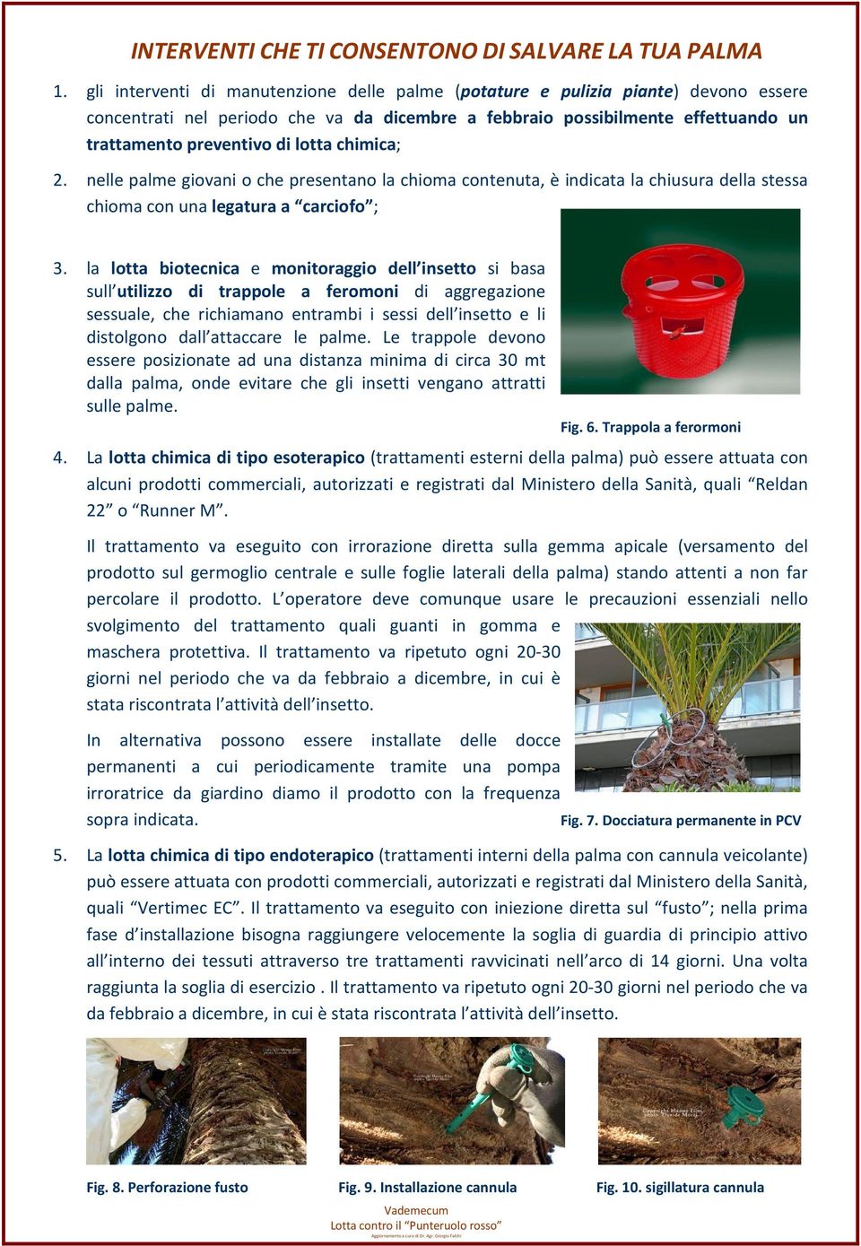 chimica; 2. nelle palme giovani o che presentano la chioma contenuta, è indicata la chiusura della stessa chioma con una legatura a carciofo ; 3.