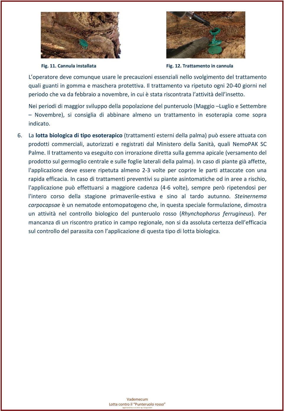 Nei periodi di maggior sviluppo della popolazione del punteruolo (Maggio Luglio e Settembre Novembre), si consiglia di abbinare almeno un trattamento in esoterapia come sopra indicato. 6.