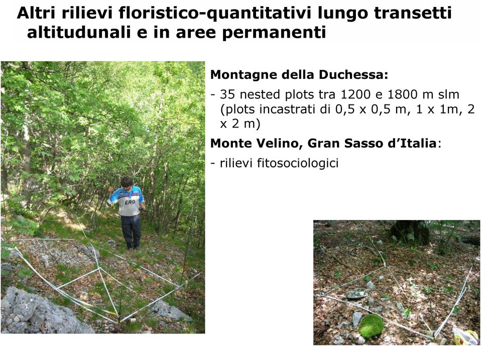 Duchessa: - 35 nested plots tra 1200 e 1800 m slm (plots incastrati di