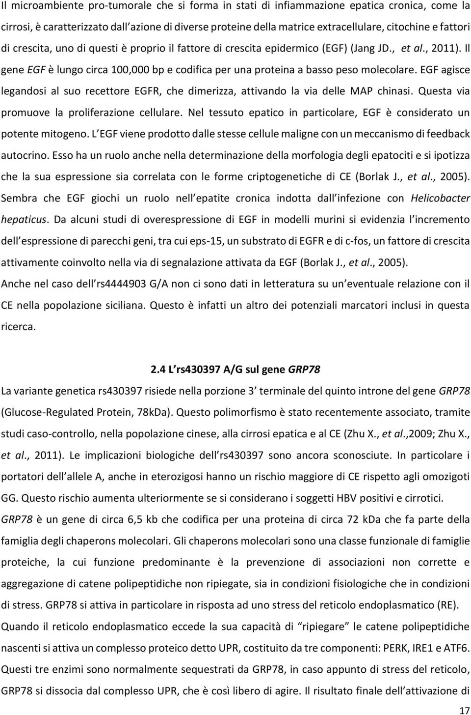 EGF agisce legandosi al suo recettore EGFR, che dimerizza, attivando la via delle MAP chinasi. Questa via promuove la proliferazione cellulare.