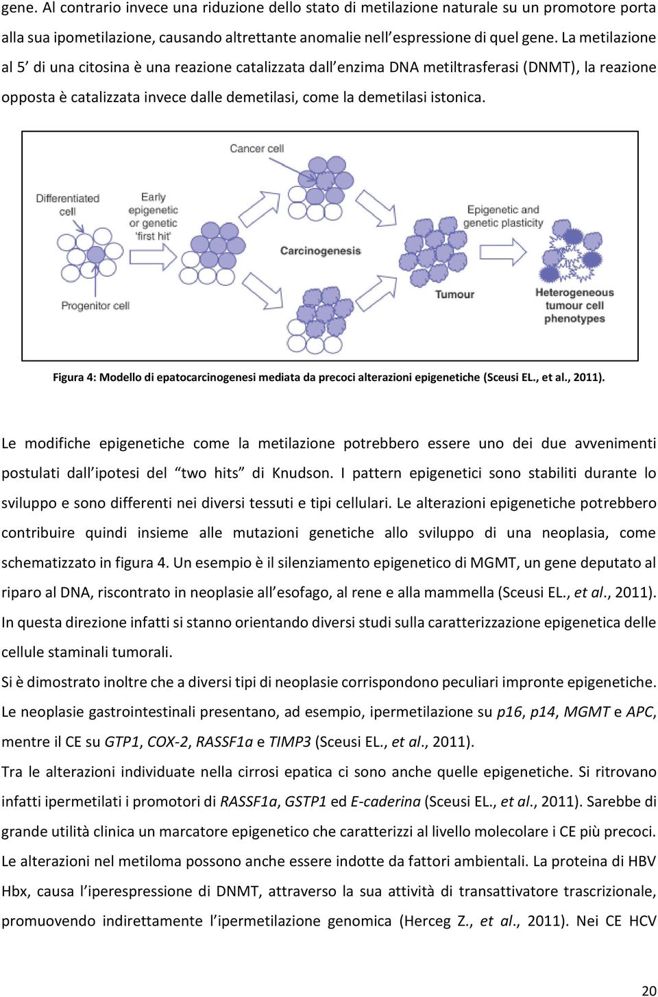 Figura 4: Modello di epatocarcinogenesi mediata da precoci alterazioni epigenetiche (Sceusi EL., et al., 2011).