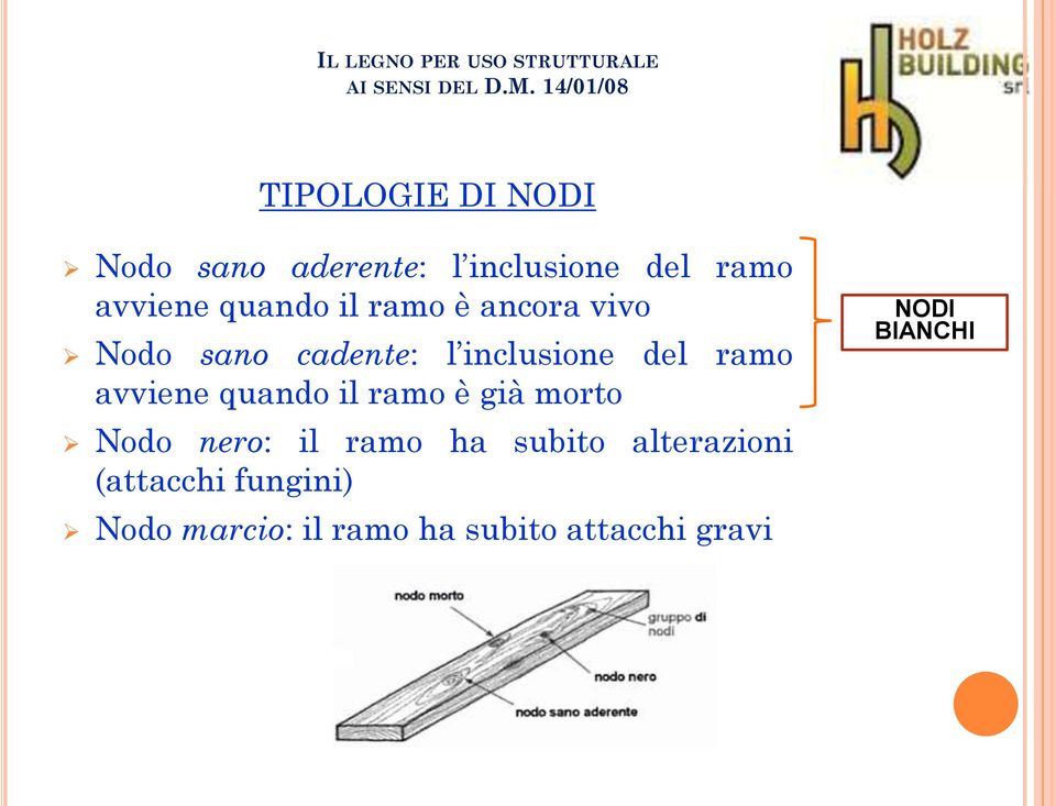 quando il ramo è ancora vivo Nodo sano cadente: l inclusione del ramo avviene