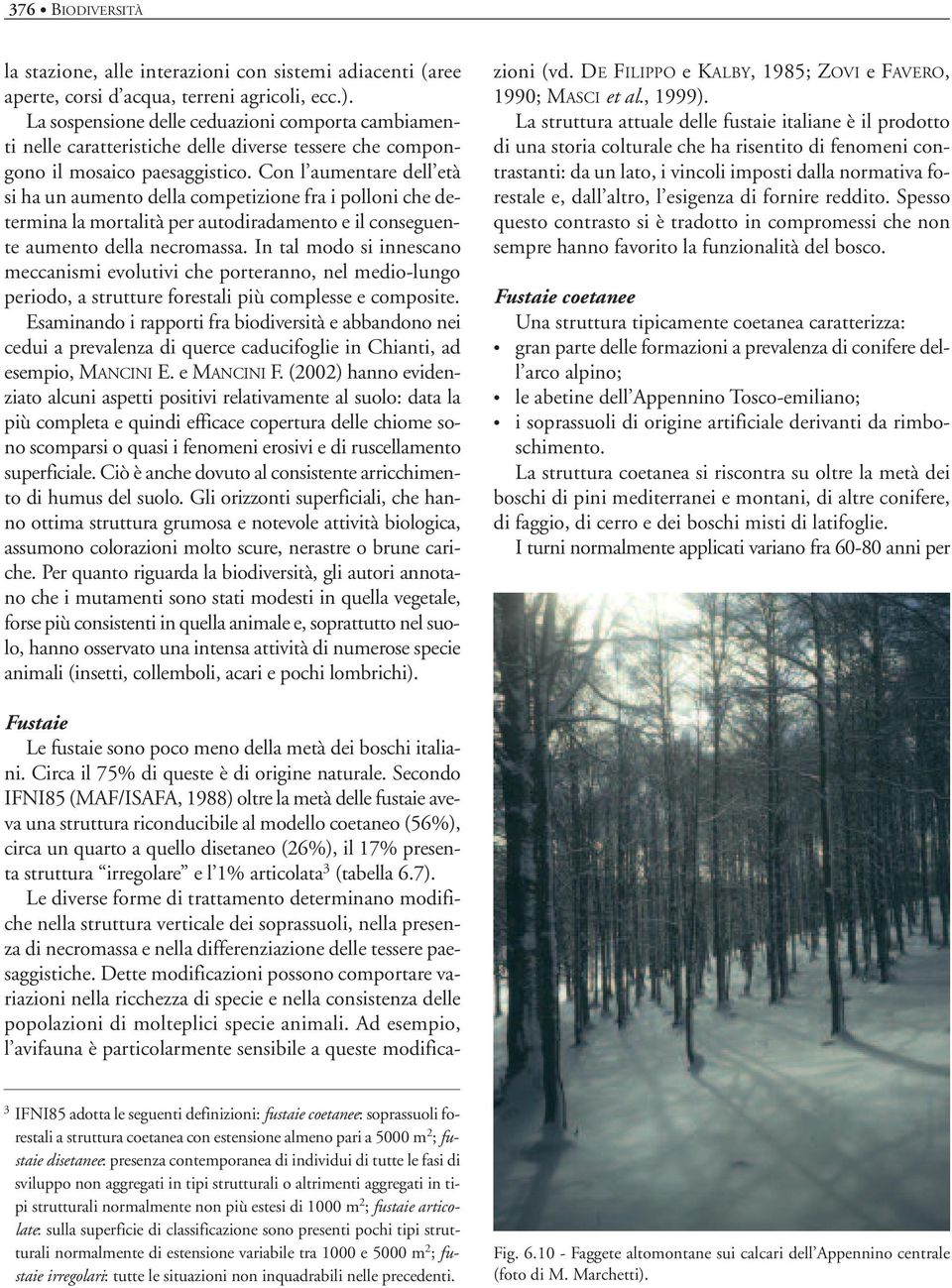 Con l aumentare dell età si ha un aumento della competizione fra i polloni che determina la mortalità per autodiradamento e il conseguente aumento della necromassa.