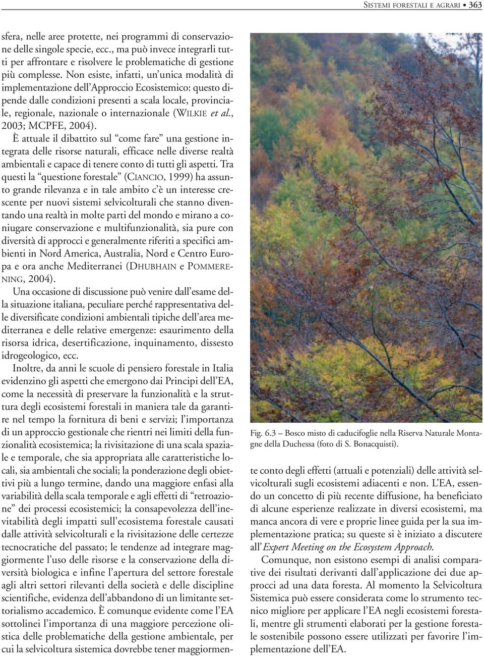 Non esiste, infatti, un unica modalità di implementazione dell Approccio Ecosistemico: questo dipende dalle condizioni presenti a scala locale, provinciale, regionale, nazionale o internazionale