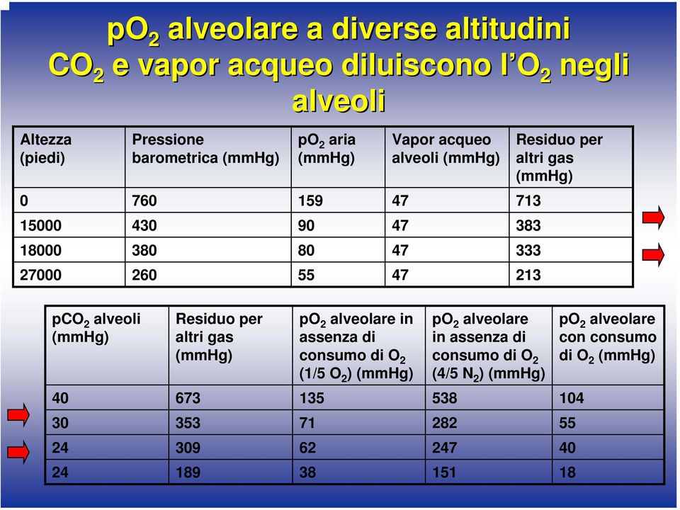 (mmhg) pco 2 alveoli (mmhg) Residuo per altri gas (mmhg) po 2 alveolare in assenza di consumo di O 2 (1/5 O 2 ) (mmhg) po 2 alveolare in