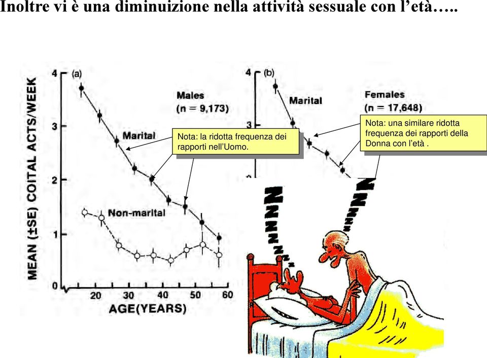 . Nota: la ridotta frequenza dei rapporti nell