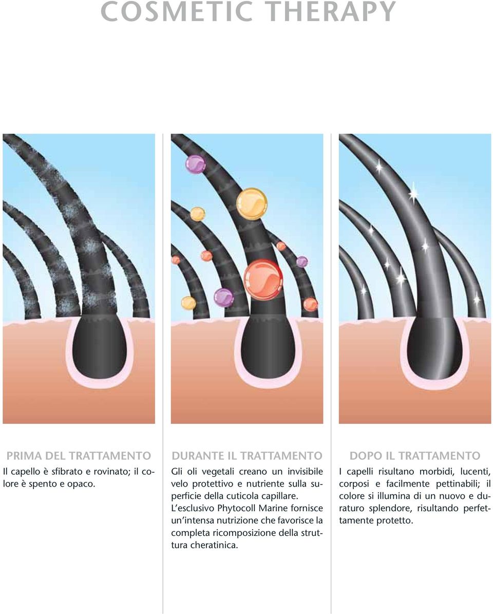 L esclusivo Phytocoll Marine fornisce un intensa nutrizione che favorisce la completa ricomposizione della struttura cheratinica.