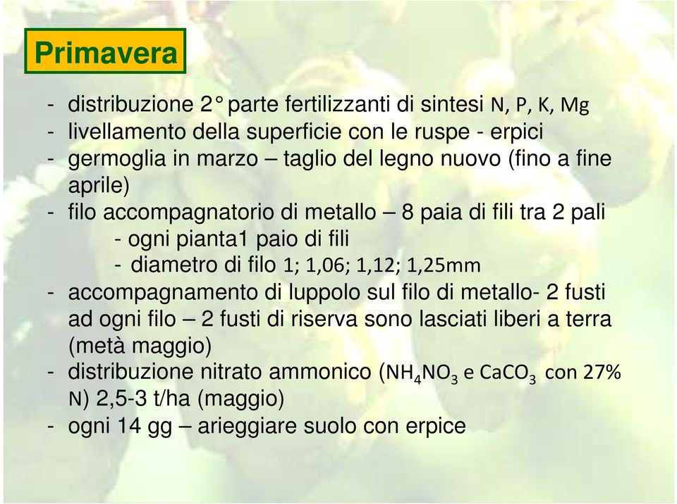 diametro di filo 1; 1,06; 1,12; 1,25mm - accompagnamento di luppolo sul filo di metallo- 2 fusti ad ogni filo 2 fusti di riserva sono lasciati