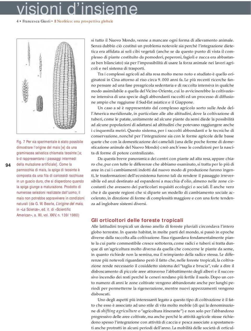 Essa riguardava fondamentalmente piante la cui parte commestibile cresce sottoterra, come radici e tuberi: si tratta dunque di un agricoltura molto diversa da quella che concerne le piante da seme,