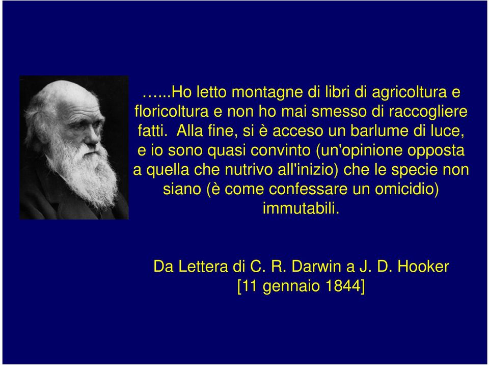 Alla fine, si è acceso un barlume di luce, e io sono quasi convinto (un'opinione