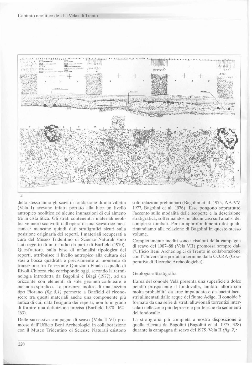 I materiali recuperati a cura del Museo Tridentino di Scienze Naturali sono stati oggetto di uno studio da parte di Barfield (1970).