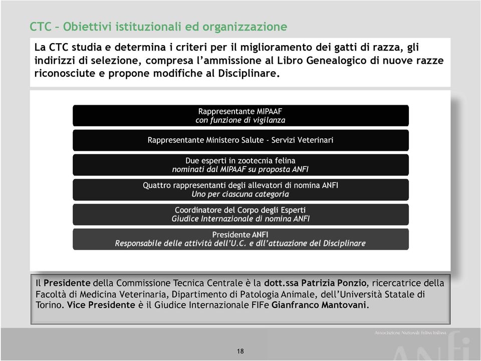 Rappresentante MIPAAF con funzione di vigilanza Rappresentante Ministero Salute - Servizi Veterinari Due esperti in zootecnia felina nominati dal MIPAAF su proposta ANFI Quattro rappresentanti degli