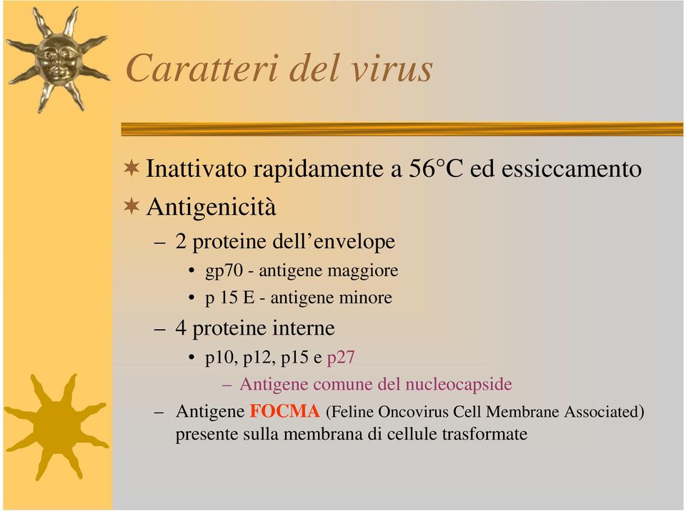 proteine interne p10, p12, p15 e p27 Antigene comune del nucleocapside Antigene