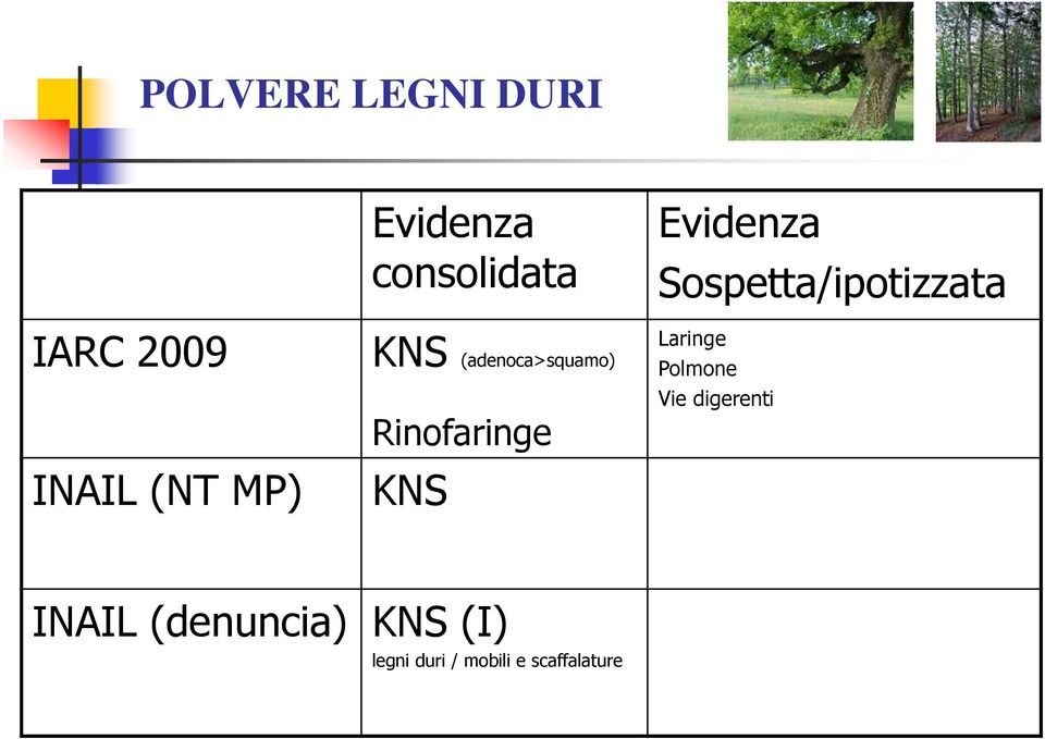 Evidenza Sospetta/ipotizzata Laringe Polmone Vie