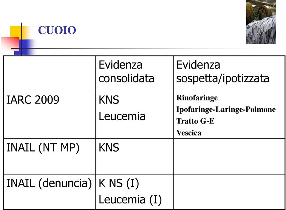 sospetta/ipotizzata Rinofaringe