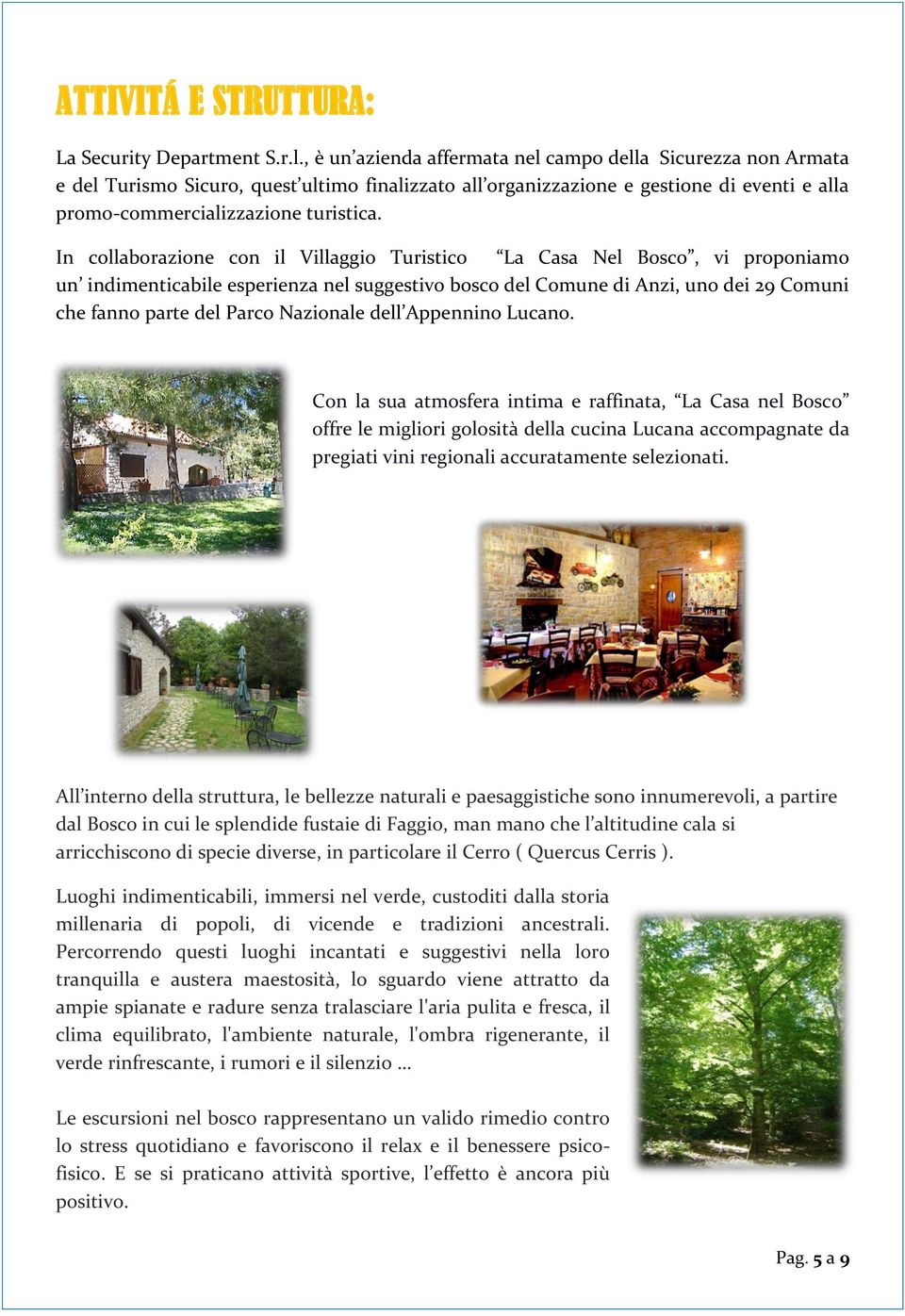 In collaborazione con il Villaggio Turistico La Casa Nel Bosco, vi proponiamo un indimenticabile esperienza nel suggestivo bosco del Comune di Anzi, uno dei 29 Comuni che fanno parte del Parco