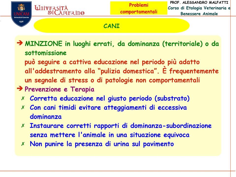 È frequentemente un segnale di stress o di patologie non Corretta educazione nel giusto periodo (substrato) Con cani timidi