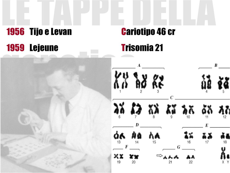 Cariotipo 46 cr 1959