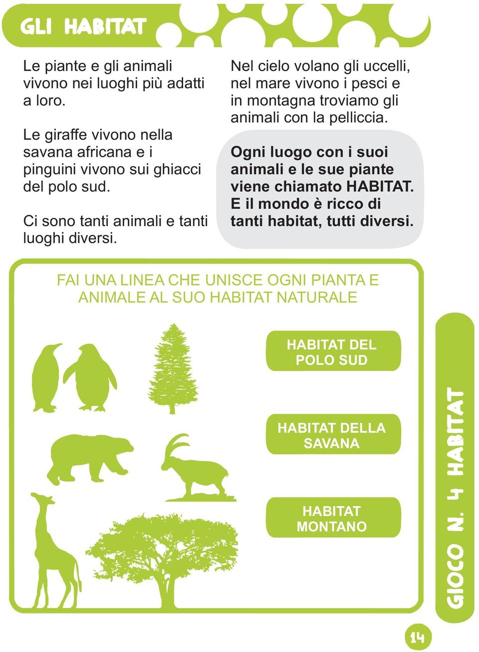 Nel cielo volano gli uccelli, nel mare vivono i pesci e in montagna troviamo gli animali con la pelliccia.