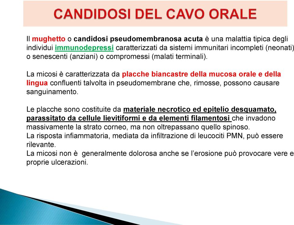 Le placche sono costituite da materiale necrotico ed epitelio desquamato, parassitato da cellule lievitiformi e da elementi filamentosi che invadono massivamente la strato corneo, ma non