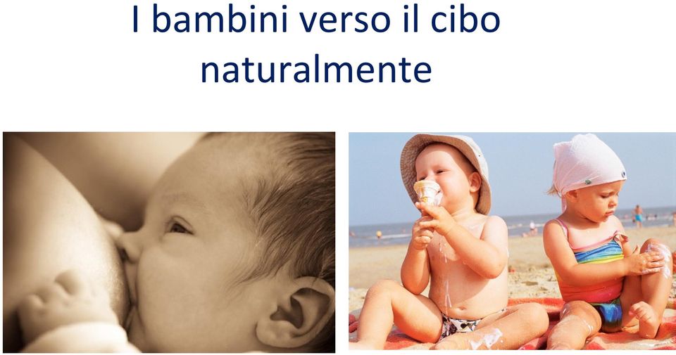 cibo