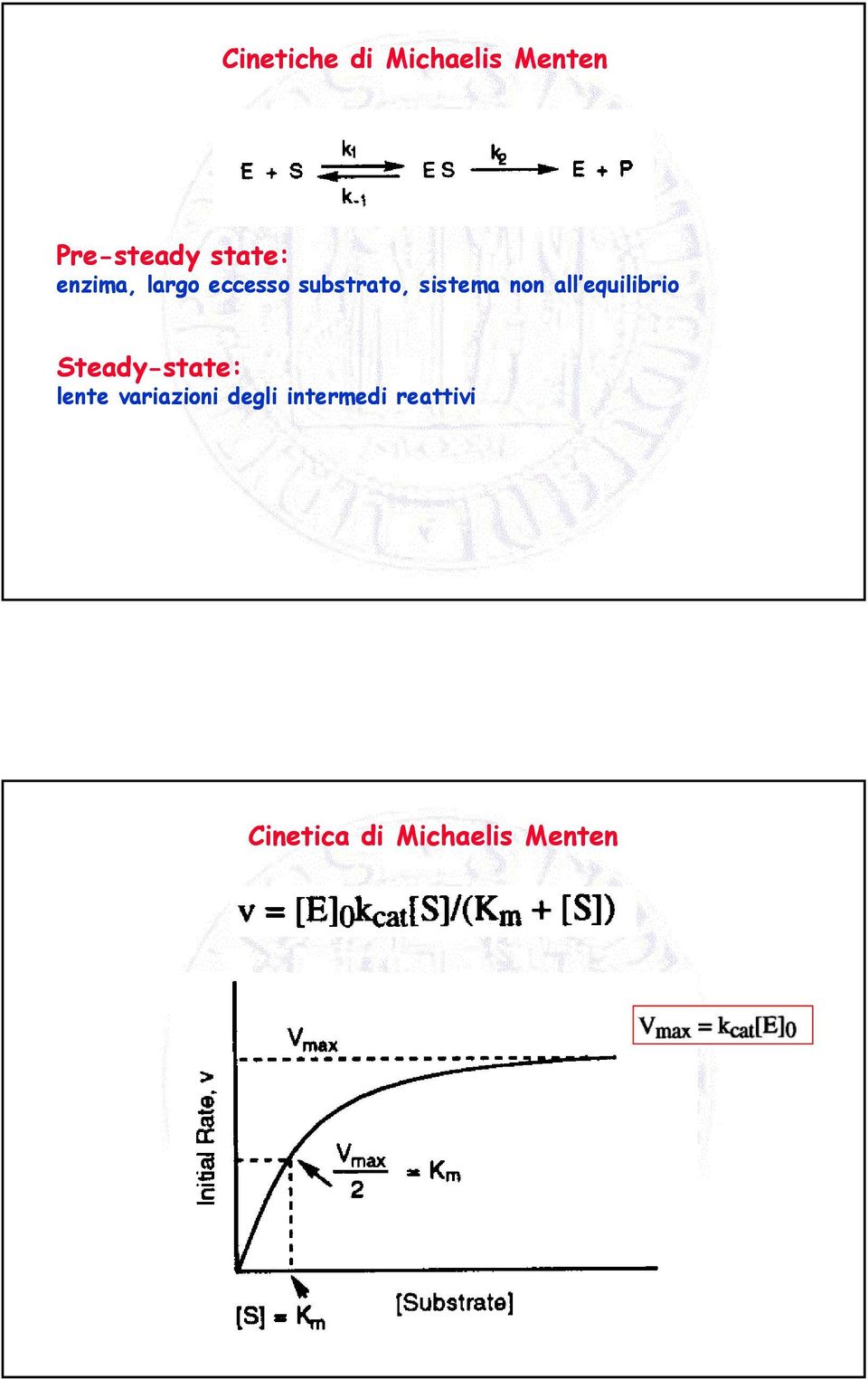 all equilibrio Steady-state: lente variazioni