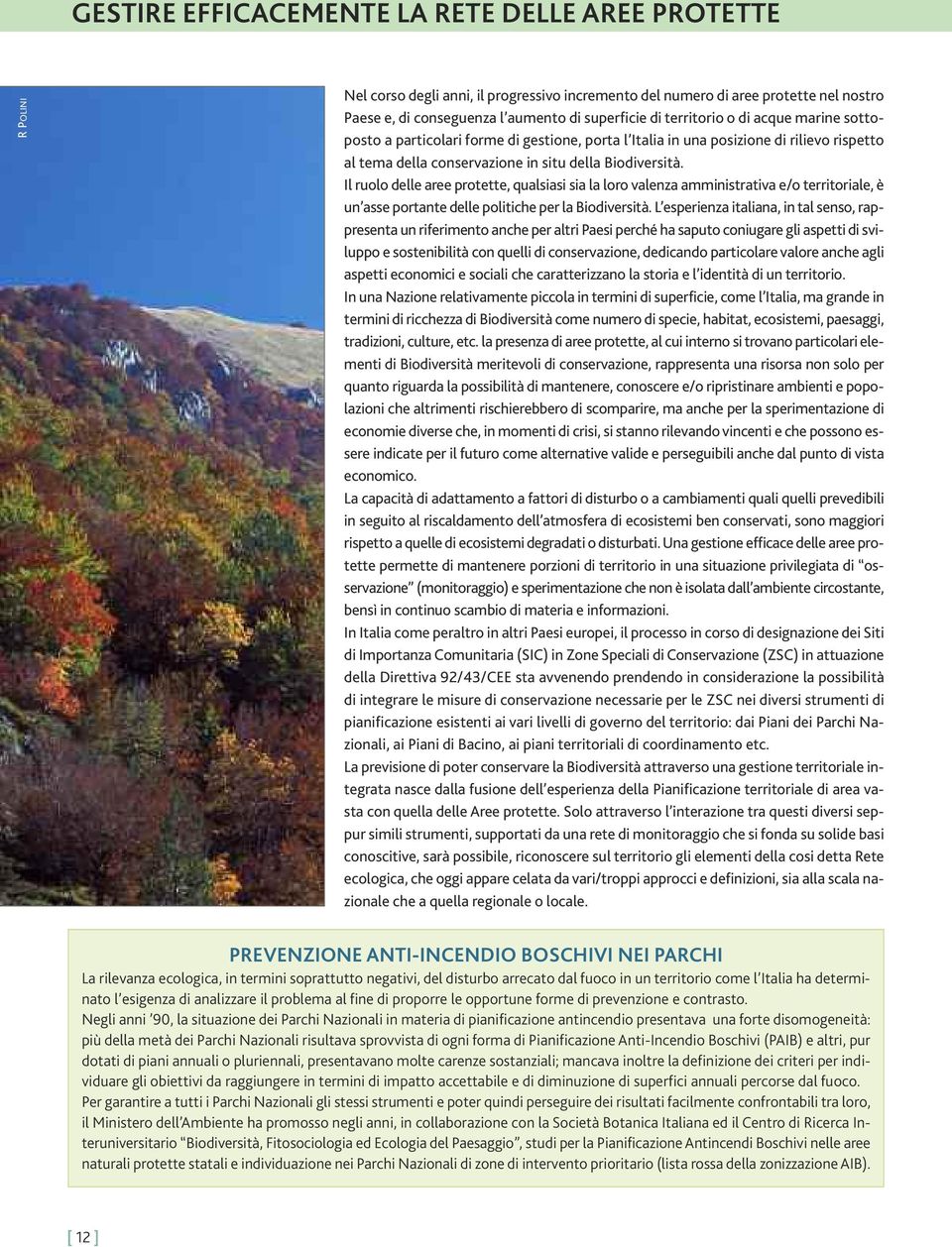 Il ruolo delle aree protette, qualsiasi sia la loro valenza amministrativa e/o territoriale, è un asse portante delle politiche per la Biodiversità.