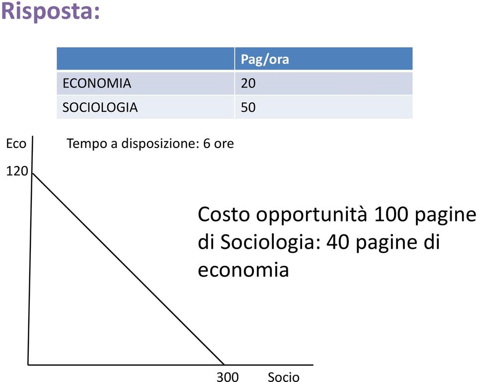 ore 120 Costo opportunità 100 pagine