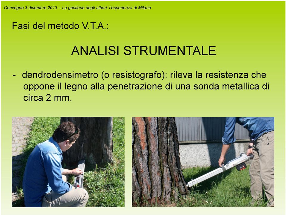 : ANALISI STRUMENTALE - dendrodensimetro (o resistografo):