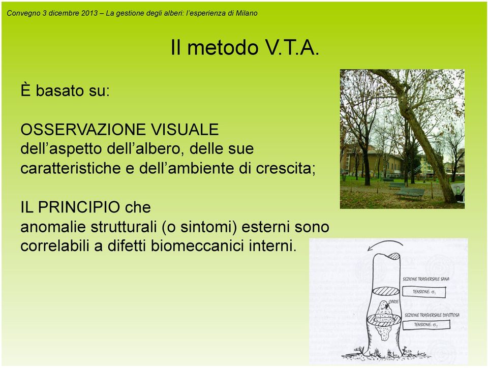 È basato su: OSSERVAZIONE VISUALE dell aspetto dell albero, delle sue