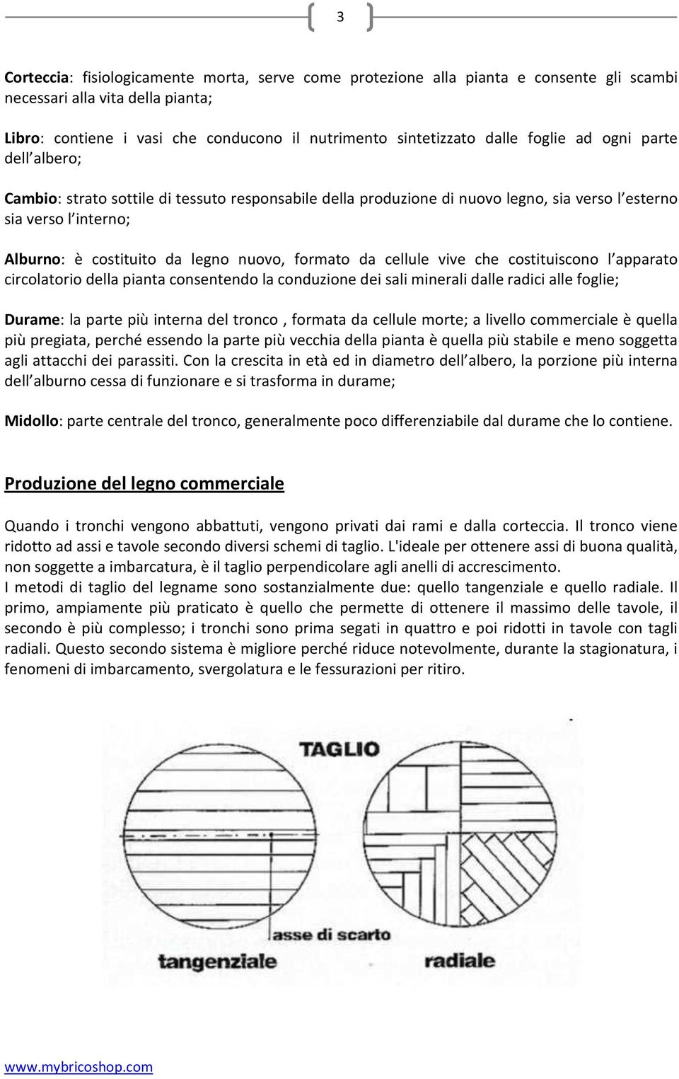 formato da cellule vive che costituiscono l apparato circolatorio della pianta consentendo la conduzione dei sali minerali dalle radici alle foglie; Durame: la parte più interna del tronco, formata