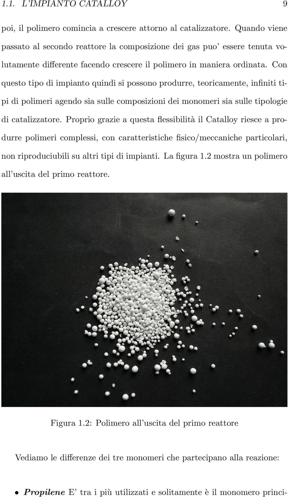 Con questo tipo di impianto quindi si possono produrre, teoricamente, infiniti tipi di polimeri agendo sia sulle composizioni dei monomeri sia sulle tipologie di catalizzatore.